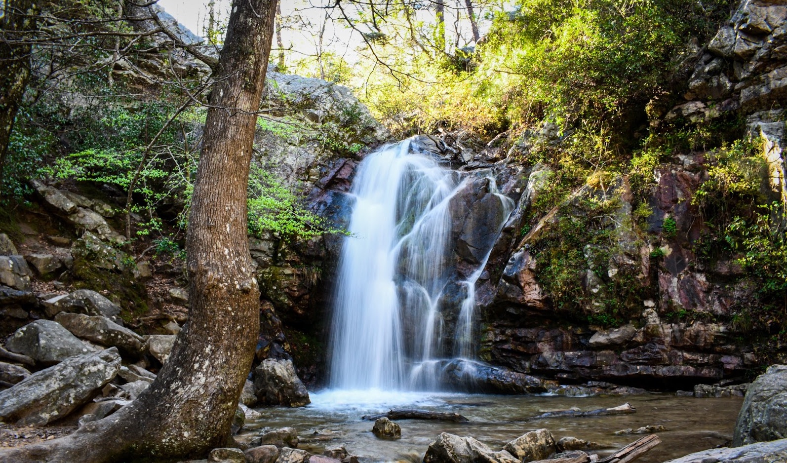 Oak Mountain State Park Alabama